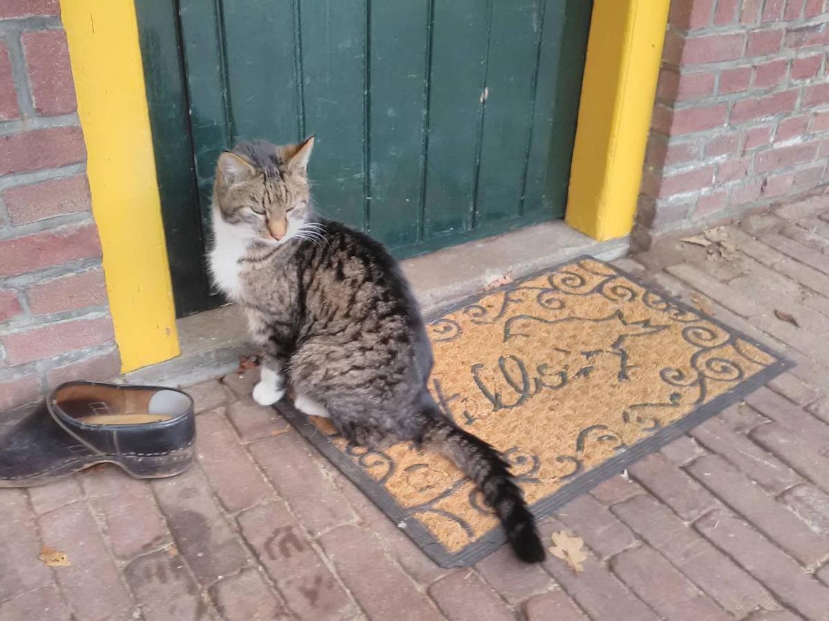 Appartement Hoeve Polsdonk Oirschot Kültér fotó